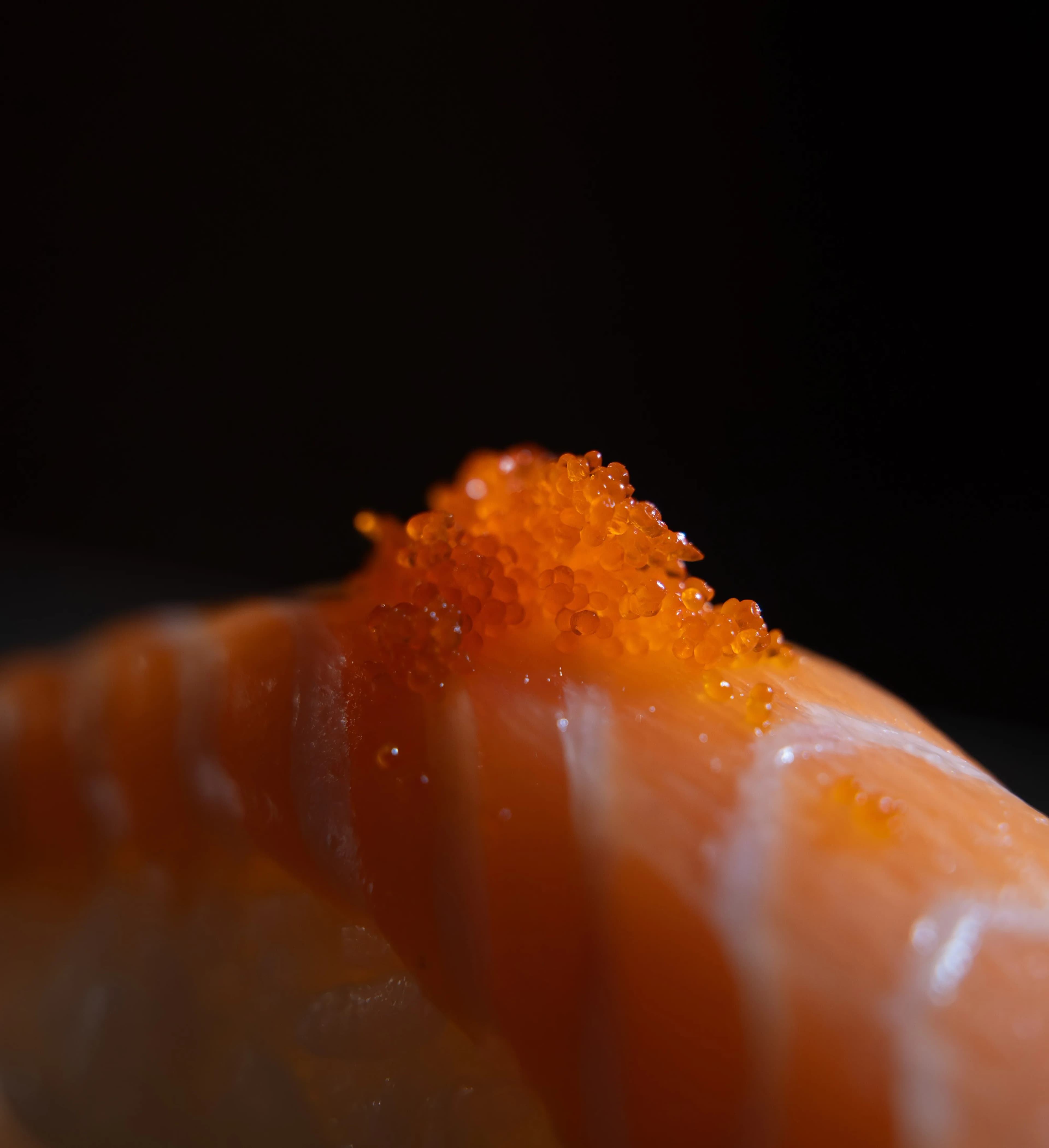 An extreme close-up of salmon nigiri crowned with bright orange tobiko roe in dramatic light at Sushi Sake.