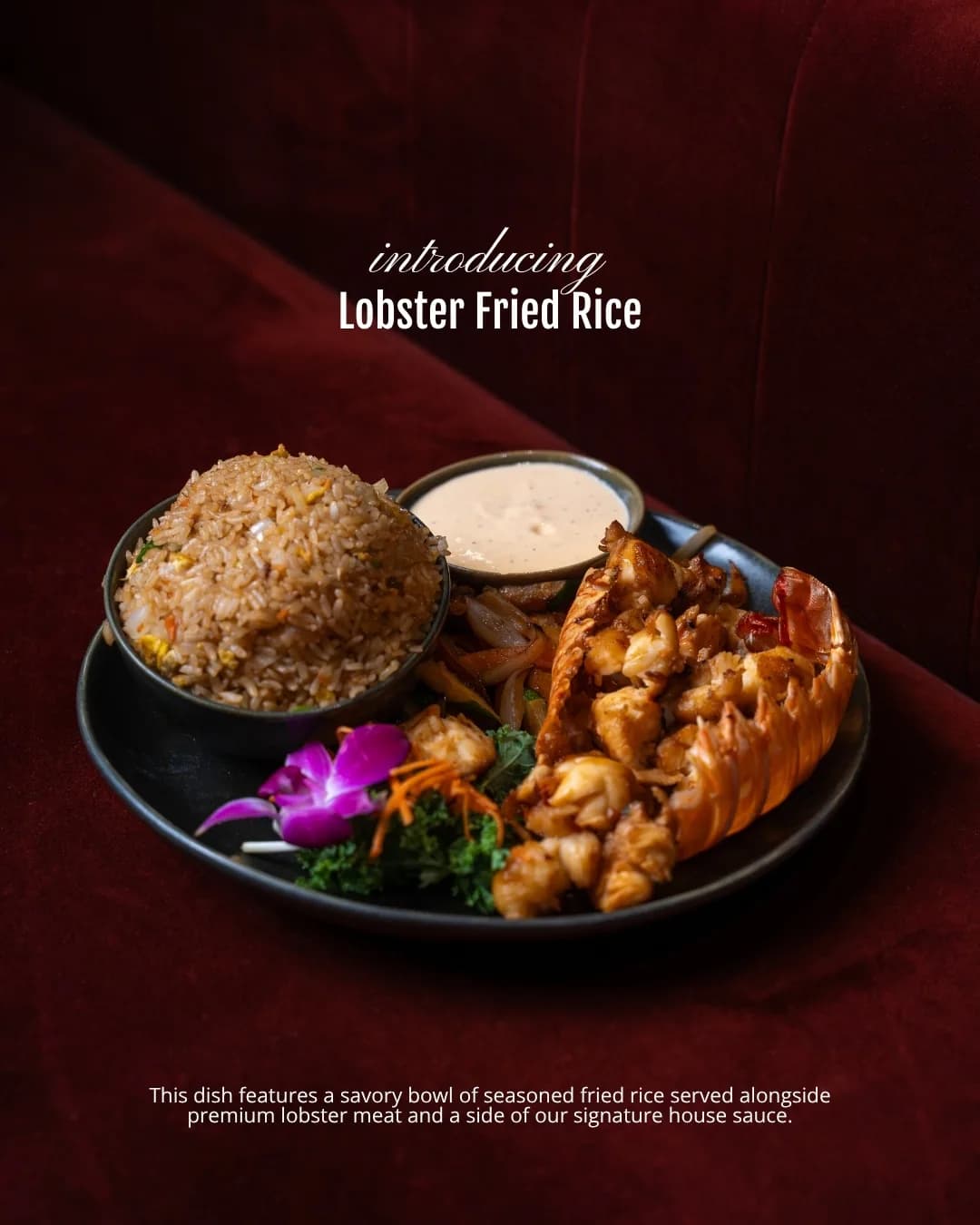 A Sushi Sake launch graphic introducing Lobster Fried Rice — a plated bowl of fried rice with lobster, house sauce, and an orchid on red velvet, the dish name and description set in type.